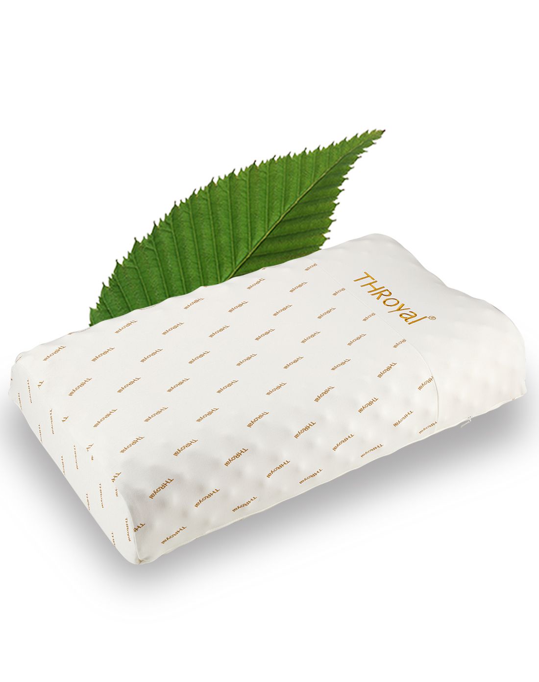 这也是广东皮革制鞋产业从传统制造向智能化、品牌化转型的缩影